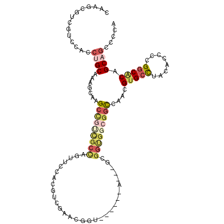 secondary structure