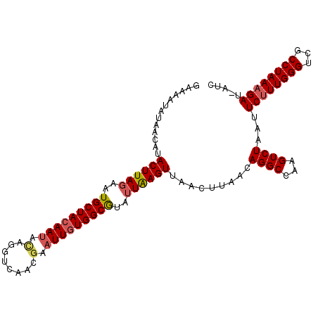 secondary structure
