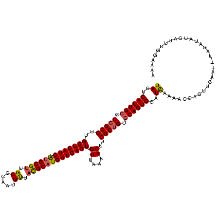 secondary structure
