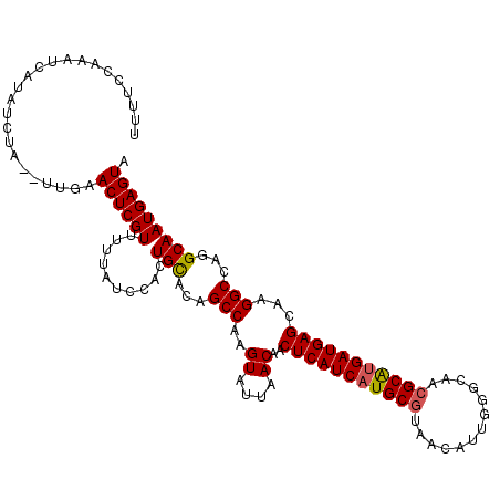 secondary structure