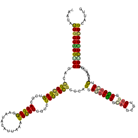 secondary structure