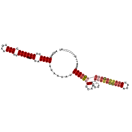 secondary structure