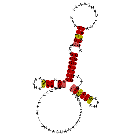 secondary structure
