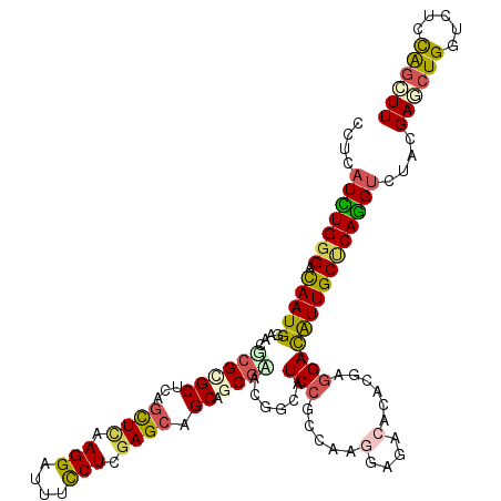 secondary structure