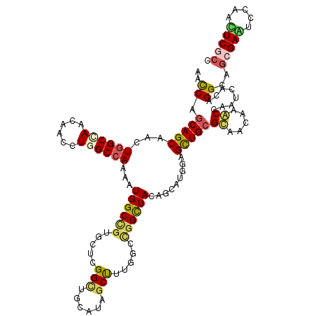 secondary structure