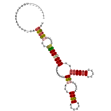 secondary structure
