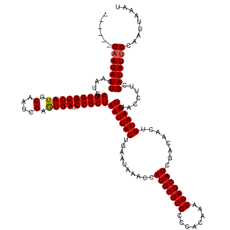 secondary structure