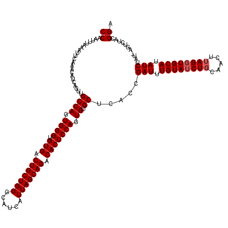 secondary structure