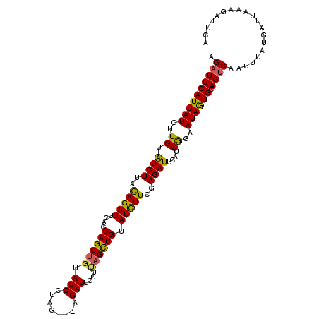 secondary structure