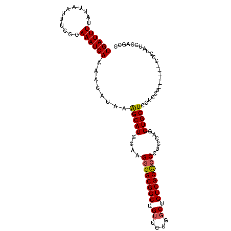 secondary structure