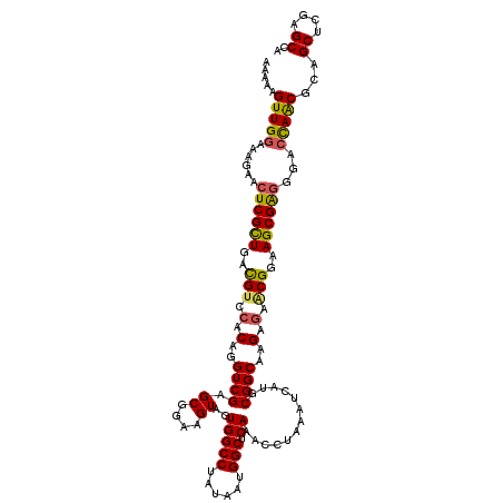 secondary structure