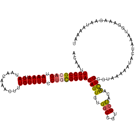 secondary structure