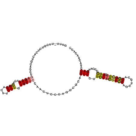 secondary structure
