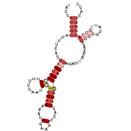 secondary structure