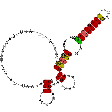 secondary structure