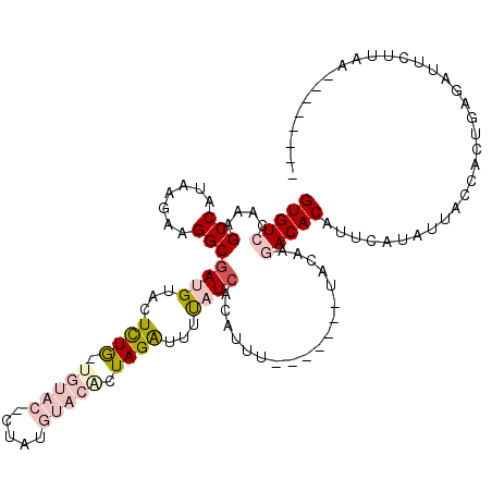 secondary structure