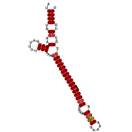 secondary structure
