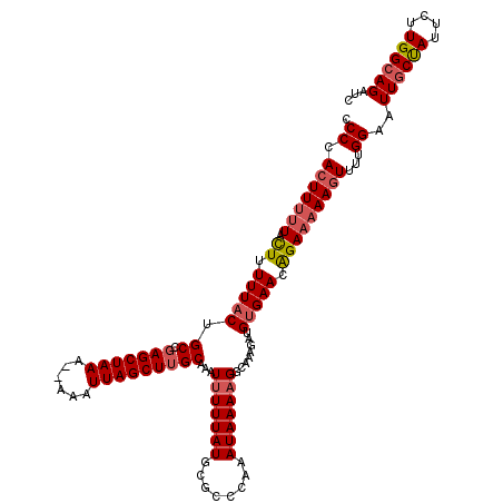 secondary structure