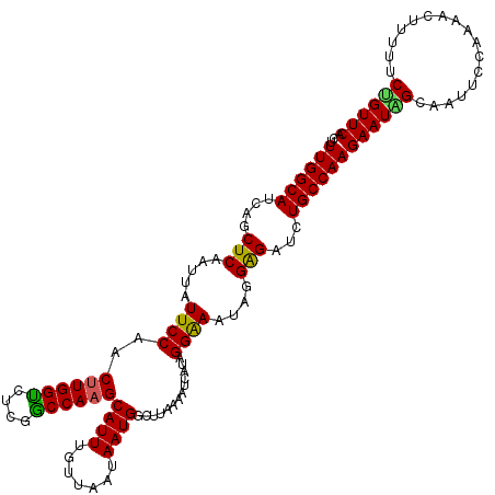 secondary structure