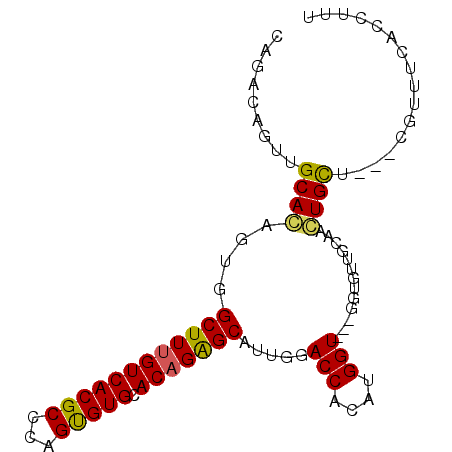 secondary structure