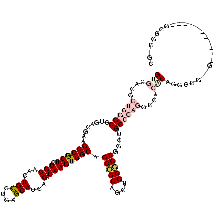 secondary structure