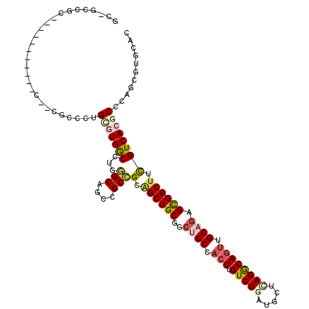 secondary structure