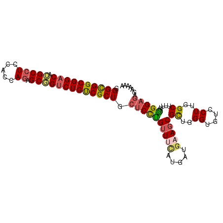 secondary structure