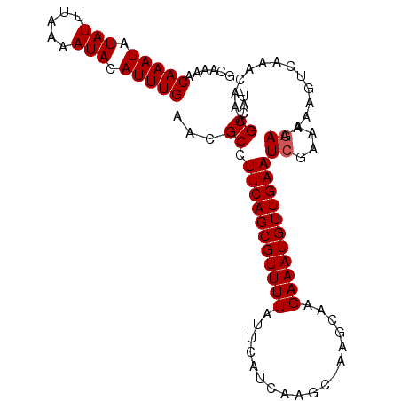 secondary structure