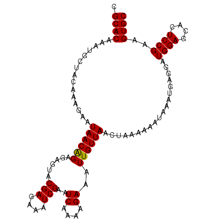 secondary structure