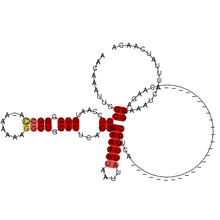 secondary structure