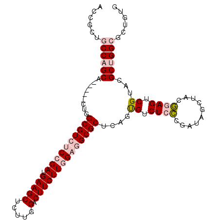 secondary structure