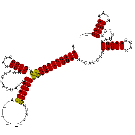 secondary structure