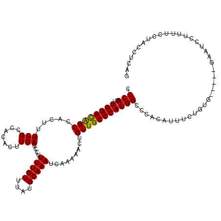 secondary structure