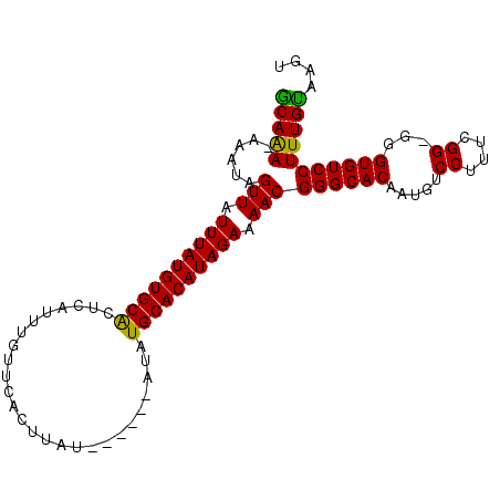 secondary structure