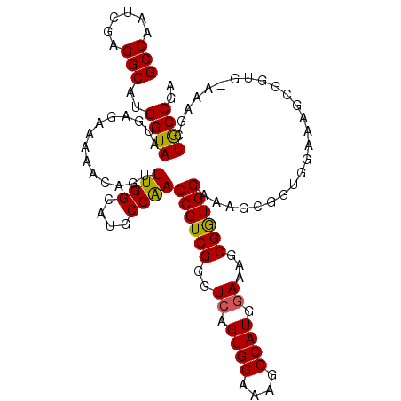 secondary structure