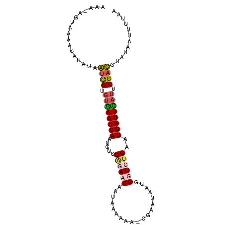secondary structure