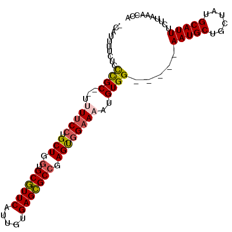secondary structure
