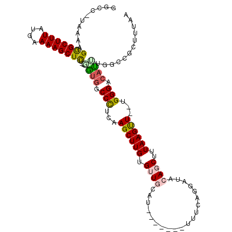secondary structure
