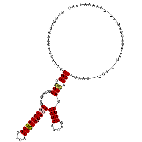 secondary structure