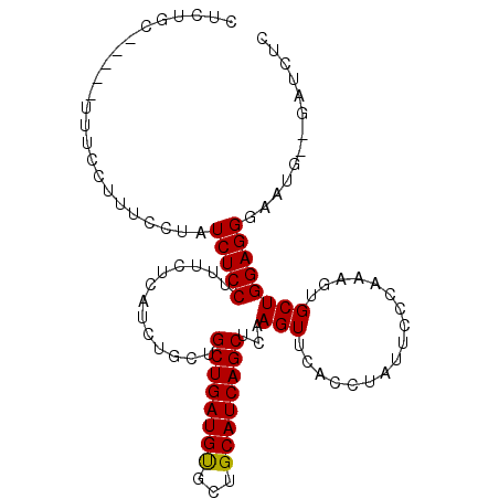 secondary structure