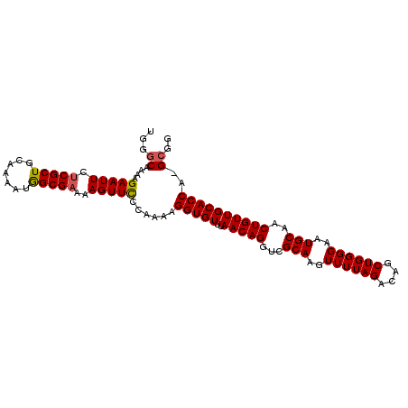 secondary structure