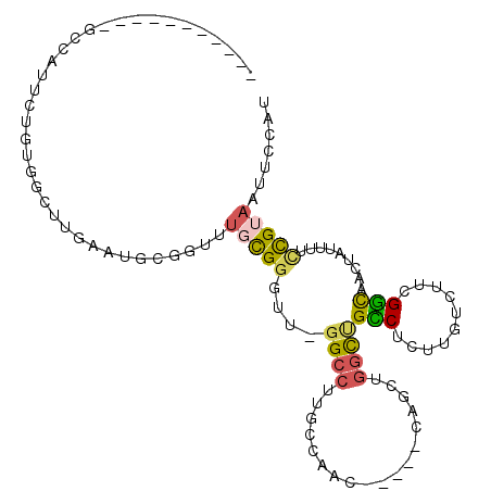 secondary structure
