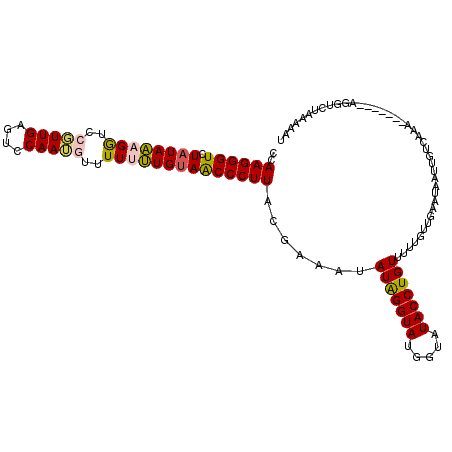 secondary structure
