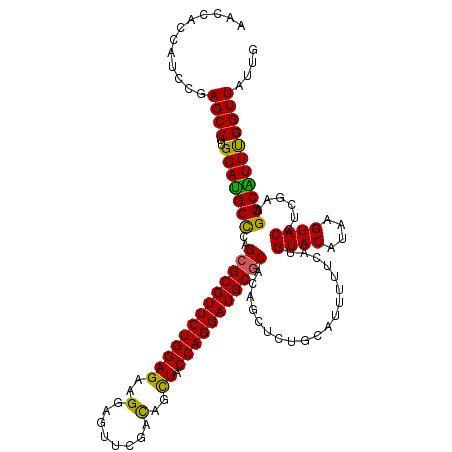secondary structure