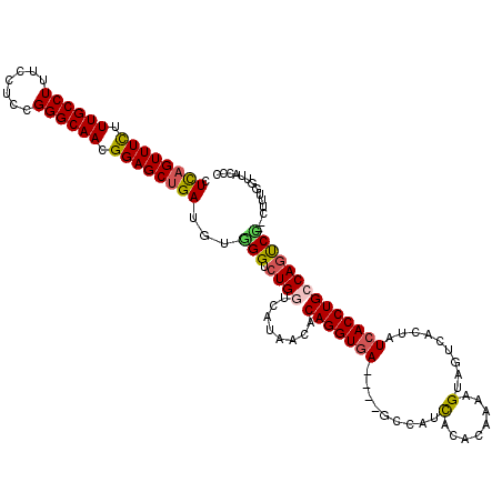 secondary structure