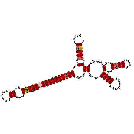 secondary structure