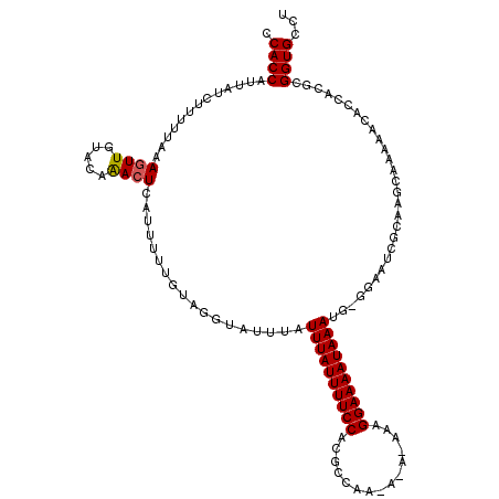 secondary structure