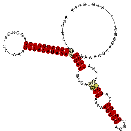 secondary structure