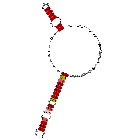 secondary structure