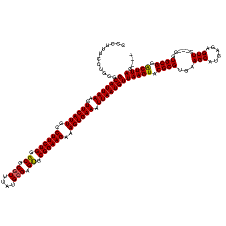 secondary structure